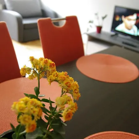 Sunny Apartment *