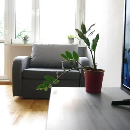 Sunny Apartment