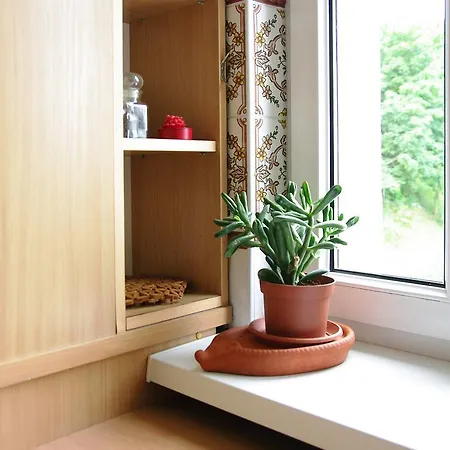 Sunny Apartment